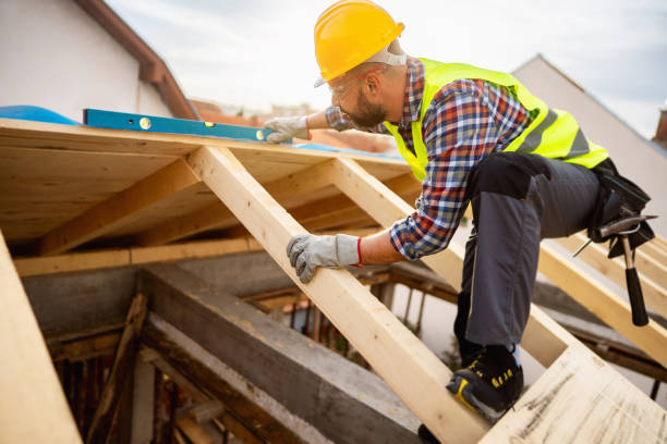 Best Roof Gutter Cleaning  in Belle Glade, FL