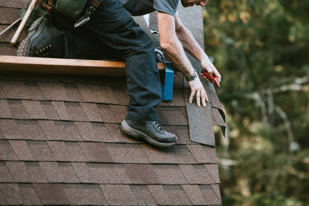 Best Roof Gutter Cleaning  in Belle Glade, FL